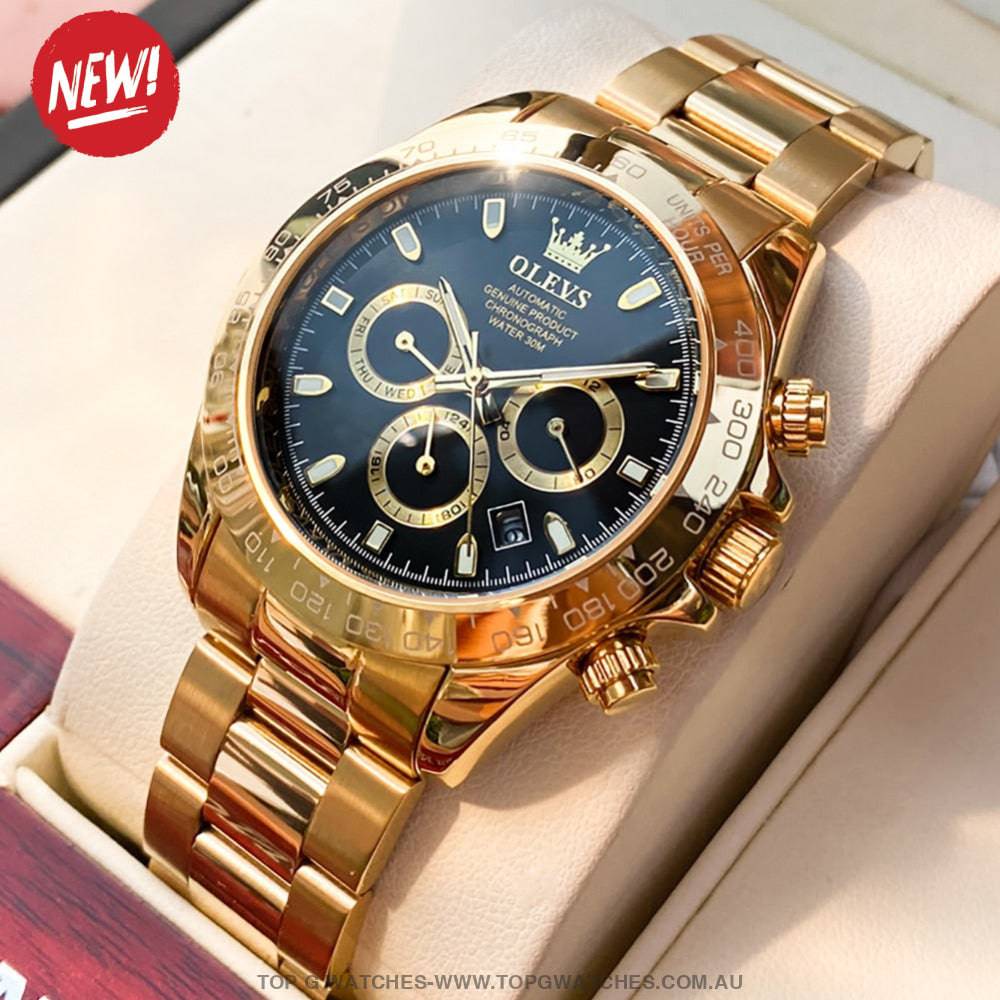 Elite Gold Luxury Olevs Automatic Mechanical 30m Business Casual Chronograph Wristwatch - Top G Watches