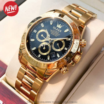 Elite Gold Luxury Olevs Automatic Mechanical 30m Business Casual Chronograph Wristwatch - Top G Watches