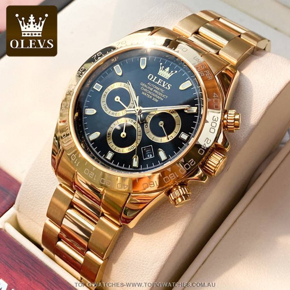Elite Gold Luxury Olevs Automatic Mechanical 30m Business Casual Chronograph Wristwatch - Top G Watches