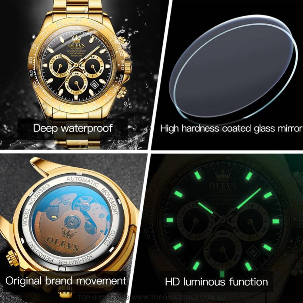 Elite Gold Luxury Olevs Automatic Mechanical 30m Business Casual Chronograph Wristwatch - Top G Watches