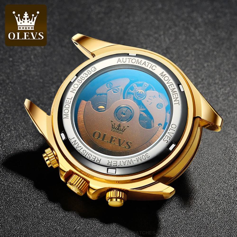 Elite Gold Luxury Olevs Automatic Mechanical 30m Business Casual Chronograph Wristwatch - Top G Watches
