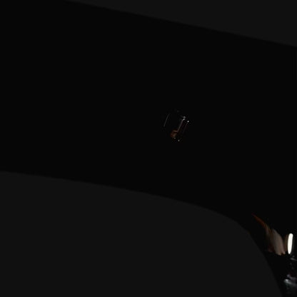 Bonest Gatti BG8004 Casino Roulette Watch – Automatic Mechanical Sapphire